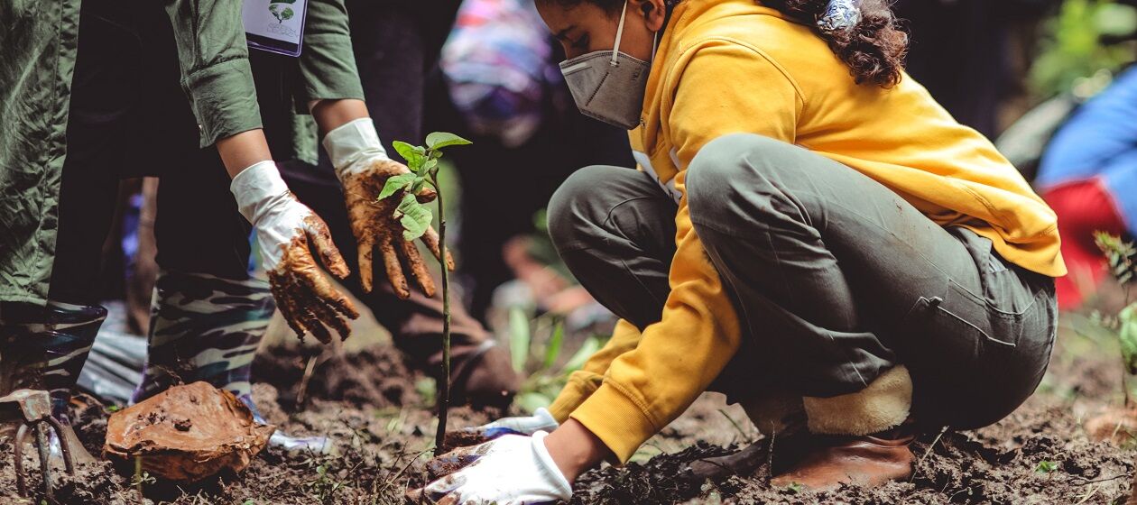 Eine Gruppe Jugendlicher mit Mund-Nase-Bedeckung pflanzt Bäume