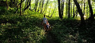 Eine Erwachsene und ein Kind spazieren über einen Waldweg