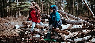 Zwei Kinder sitzen auf gestappeltem Holz in einem Waldstück