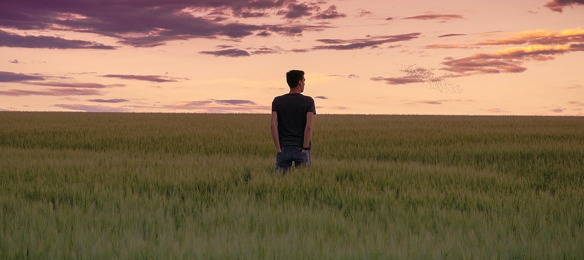 Junger Mann in T-Shirt steht mitten in einem Kornfeld und schaut in den vom Sonnenuntergang rosa gefärbten Himmel