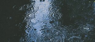 Regentropfen ziehen Kreise im Wasser