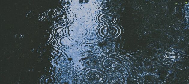 Regentropfen ziehen Kreise im Wasser