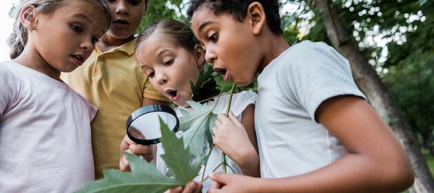 Eine Gruppe Kinder schaut durch eine Lupe auf eine Pflanze und staunt