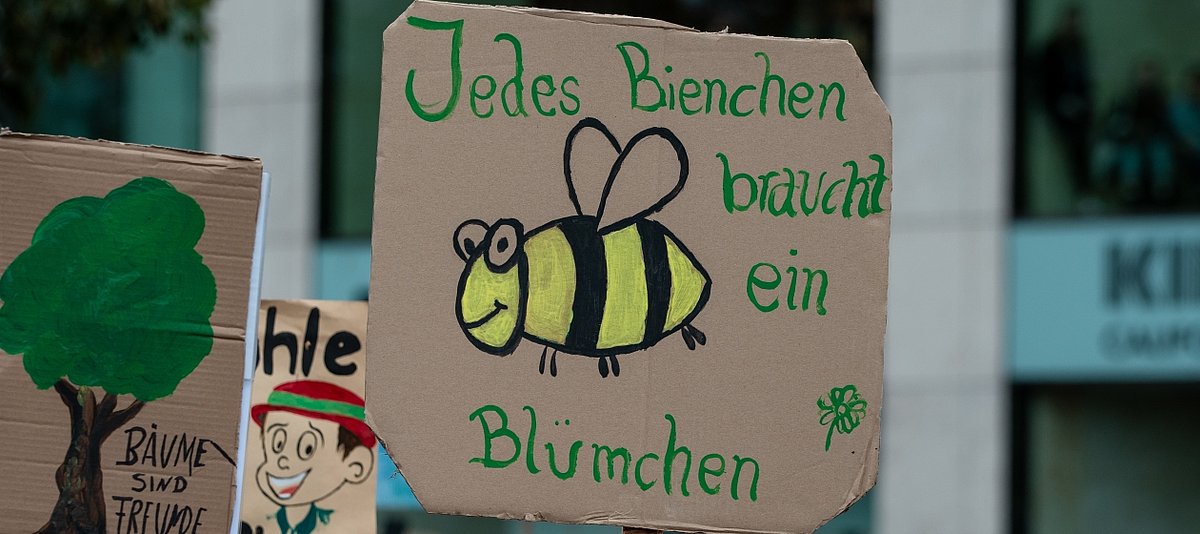 Blick auf ein Transparent auf Demonstration mit dem Slogan Jede Biene braucht ein Blümchen