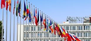 Die Staatsflaggen der Europäischen Union wehen an aufgereihten Masten vor einem sonnenbeschienenen Bürogebäude.