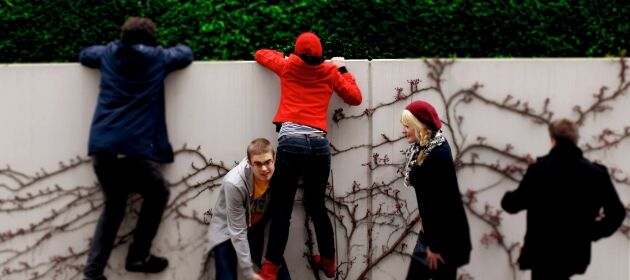 Jugendliche bewegen sich und klettern eine Wand hinauf.