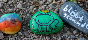 Bunt angemalter Stein, Stein mit Froschbild und Stein mit der Aufschrift "bleibt gesund"