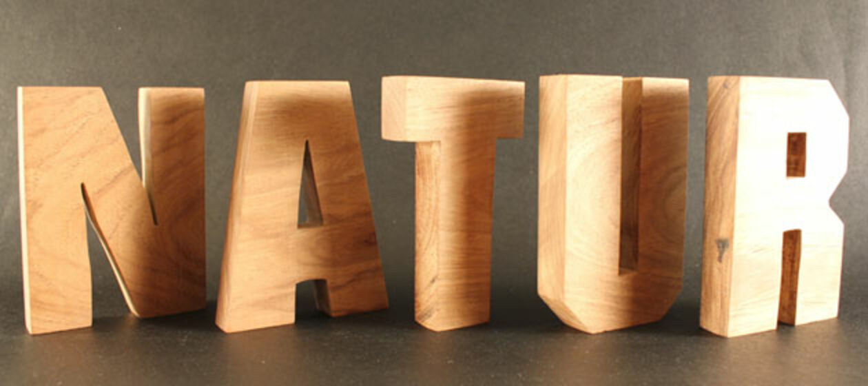 Holzbuchstaben ergeben das Wort Natur