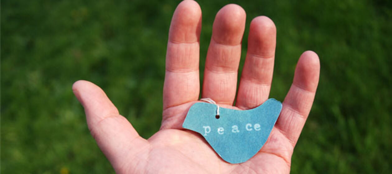 Eine Hand mit dem Symbol einer Friedenstaube