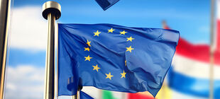 Die Flagge der EU vor den Flaggen der EU-Länder.