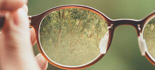 Durch eine Brille sieht man einen gesunden Regenwald