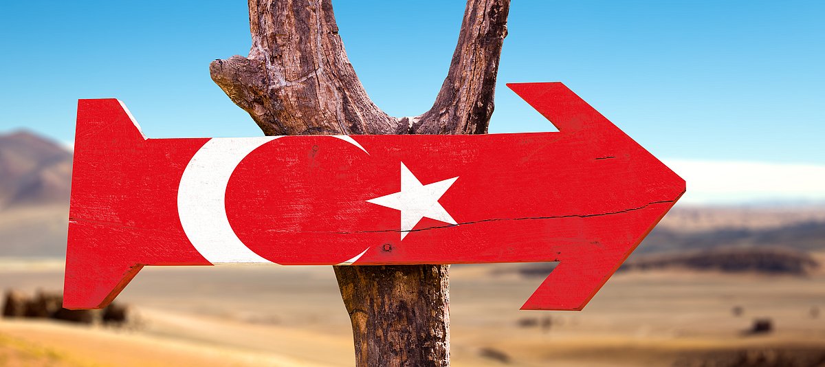 Wegweiser mit türkischer Flagge auf einem Baumstamm