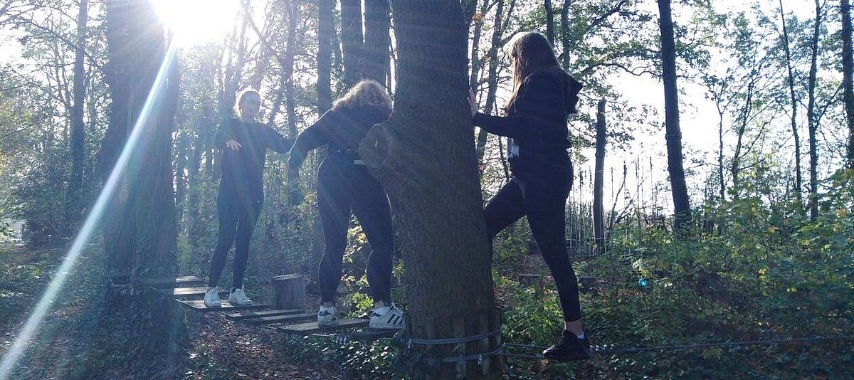 Drei Mädchen klettern in einem Hochseilgarten im Wald