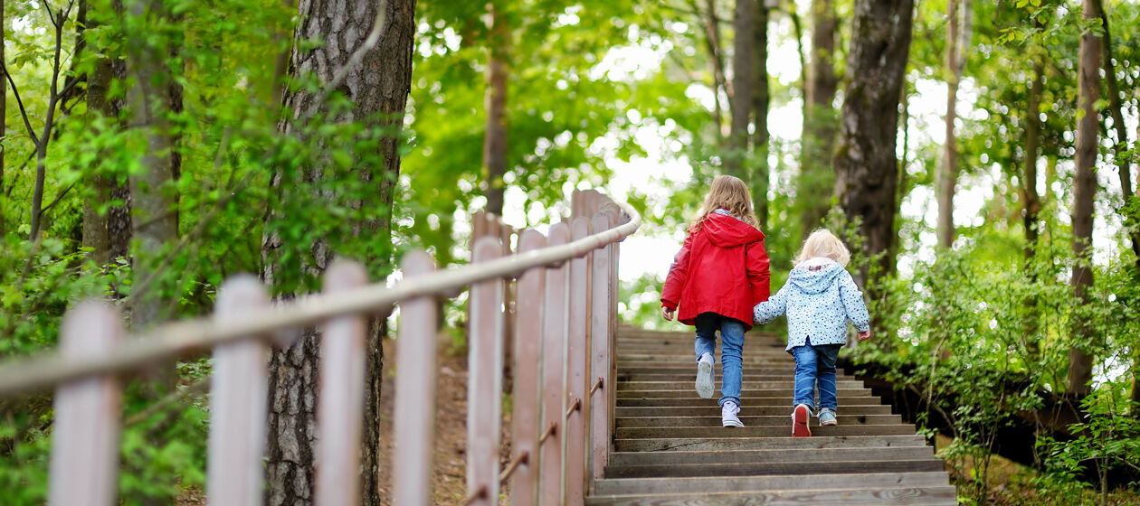 Zwei Kinder gehen Hand in Hand eine Treppe im Wald hinauf