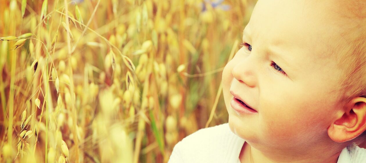 Ein Kleinkind sitzt in Kornfeldern und schaut zur Sonne