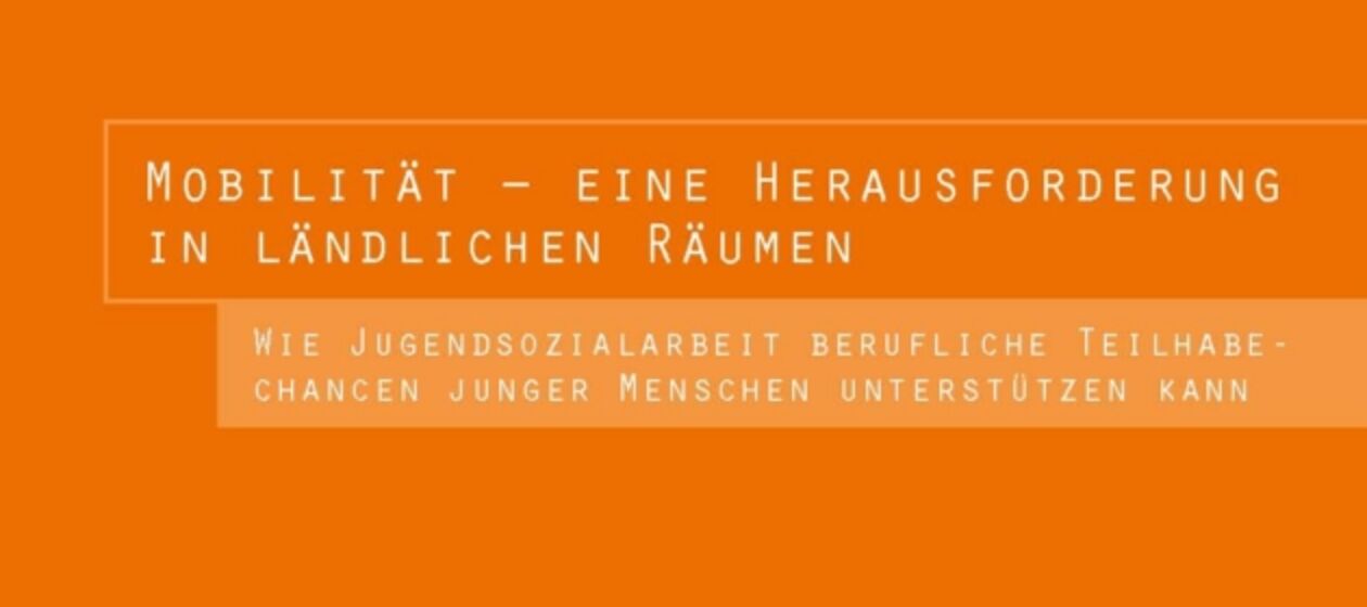 Orangefarbener Coverausschnitt der Broschüre "Beiträge zur Jugendsozialarbeit", Nr. 5