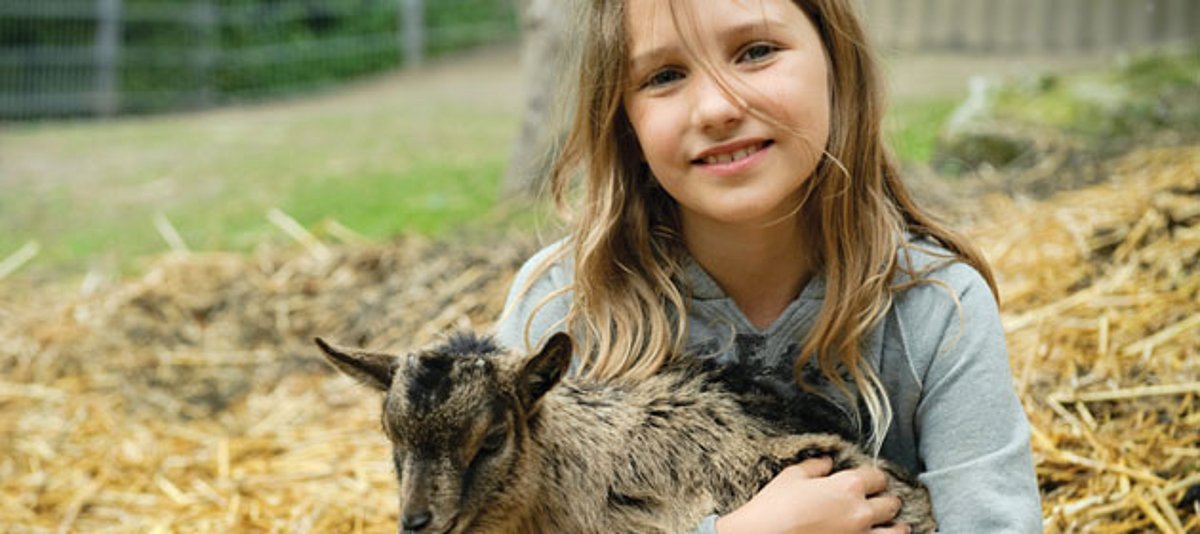 Ein Mädchen mit einer Ziege auf dem Arm