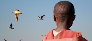 Ein Kind afrikanischer Herkunft schaut zu einigen Möwen am Himmel