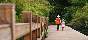 Eine Frau und ein Kind spazieren Hand in Hand über eine Holzbrücke umgeben von Grün
