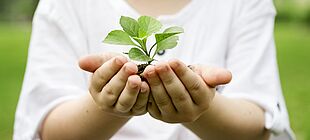 Kinderhände halten eine kleine Pflanze