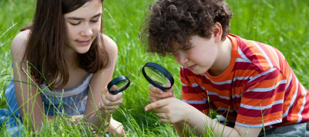 Mädchen und Junge untersuchen Wiese mit Lupe