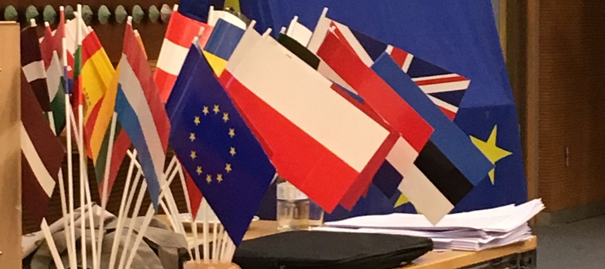 Flaggen unterschiedlicher Länder und im Hintergrund sind Europa-Flaggen zu sehen