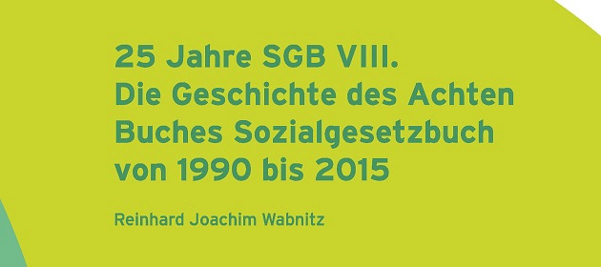 grünflächiges Cover mit dem Text "25 Jahre SGB VIII. Die Geschichte des Achten Buches Sozialgesetzbuch von 1990 bis 2015."