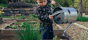 Ein Kleinkind steht zwischen Beeten und gießt Pflanzen