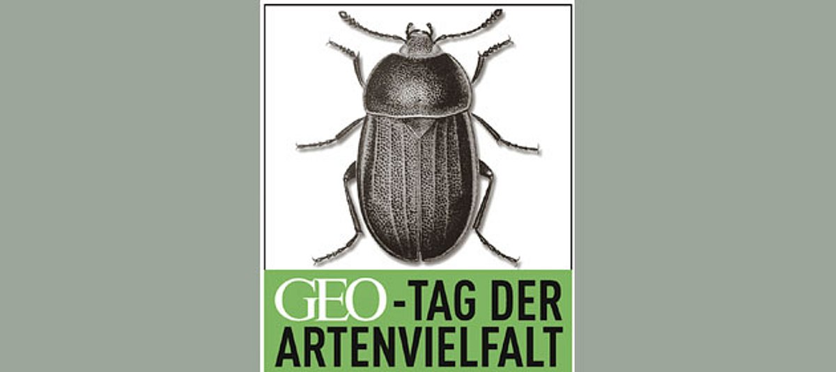 Logo GEO-Tag der Artenvielfalt mit Käfer