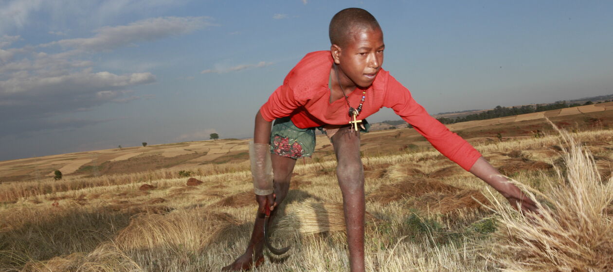 Äthiopisches Kind auf dem Feld
