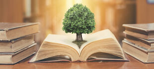 Ein Baum wächst aus einem Buch in einer Bibliothek