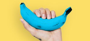 Eine Hand hält eine blaue Banane vor gelbem Hintergrund
