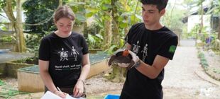Ein Freiwilliger untersucht in einem tropischen Dorf eine Schildkröte, während eine Freiwillige Notizen macht.