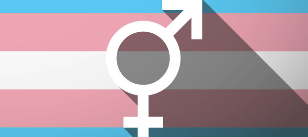 Transgender Flagge